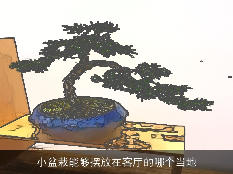 小盆栽能够摆放在客厅的哪个当地