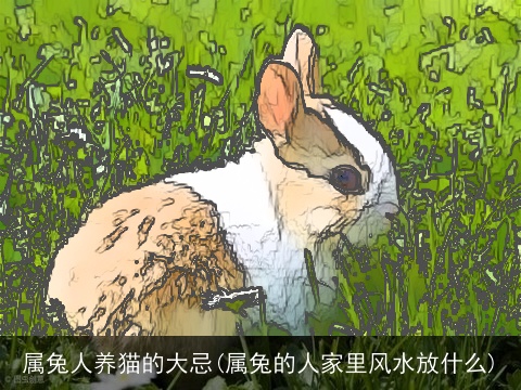 属兔人养猫的大忌(属兔的人家里风水放什么)