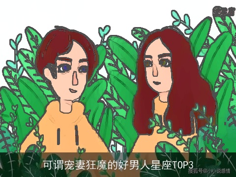 可谓宠妻狂魔的好男人星座TOP3