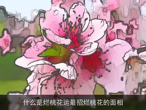 什么是烂桃花运最招烂桃花的面相