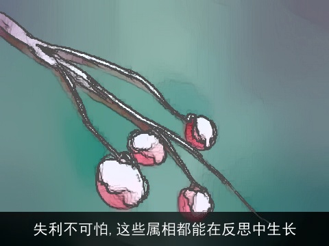 失利不可怕,这些属相都能在反思中生长