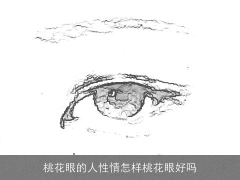 桃花眼的人性情怎样桃花眼好吗