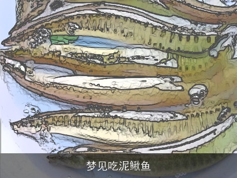 梦见吃泥鳅鱼