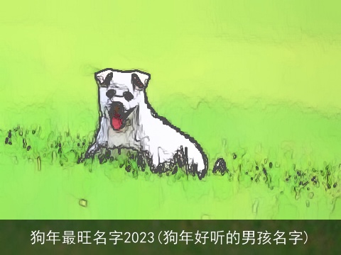 狗年最旺名字2023(狗年好听的男孩名字)