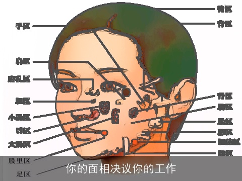 你的面相决议你的工作