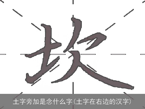 土字旁加是念什么字(土字在右边的汉字)