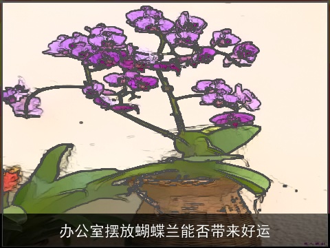 办公室摆放蝴蝶兰能否带来好运