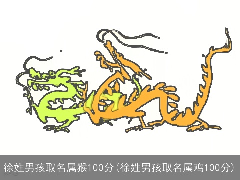 徐姓男孩取名属猴100分(徐姓男孩取名属鸡100分)