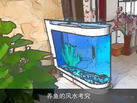 养鱼的风水考究