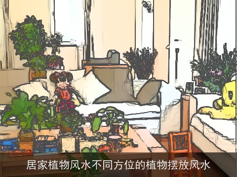 居家植物风水不同方位的植物摆放风水