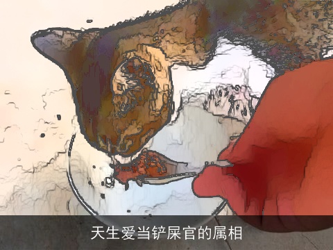 天生爱当铲屎官的属相