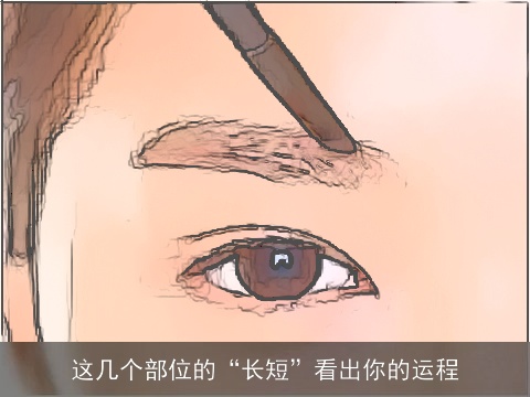 这几个部位的“长短”看出你的运程