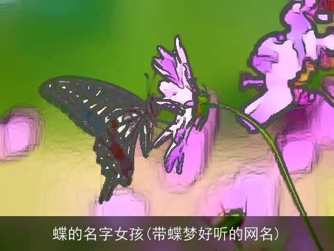 蝶的名字女孩(带蝶梦好听的网名)