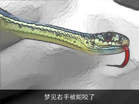 梦见右手被蛇咬了