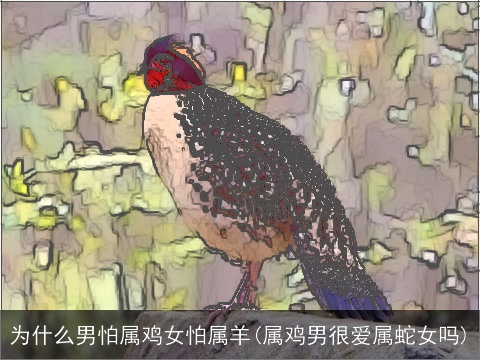 为什么男怕属鸡女怕属龙(属鸡男很爱属龙女吗)