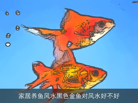 家居养鱼风水黑色金鱼对风水好不好