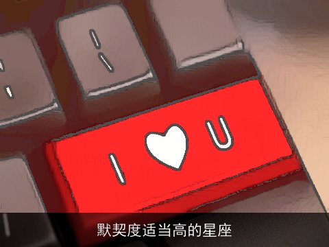 默契度适当高的星座