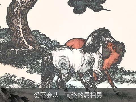 爱不会从一而终的属相男