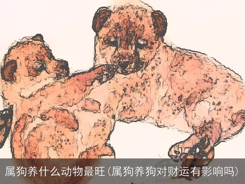 属狗养什么动物最旺(属狗养狗对财运有影响吗)
