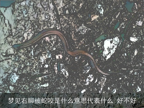 梦见右脚被蛇咬是什么意思代表什么 好不好