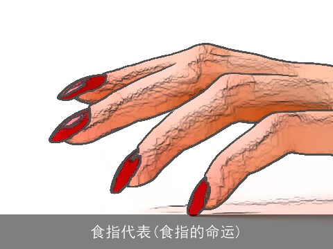 食指代表(食指的命运)