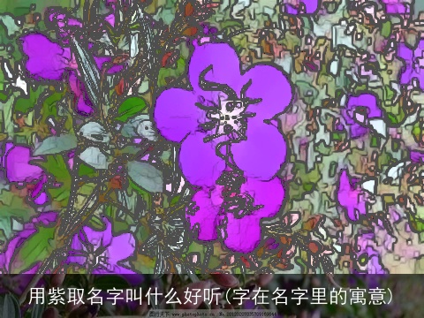 用紫取名字叫什么好听(字在名字里的寓意)