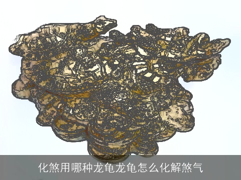 化煞用哪种龙龟龙龟怎么化解煞气