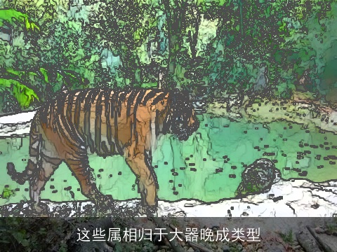 这些属相归于大器晚成类型