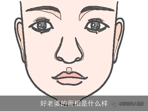 好老婆的面相是什么样