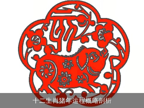十二生肖猪年运程概略剖析