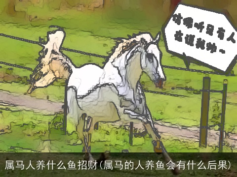 属马人养什么鱼招财(属马的人养鱼会有什么后果)
