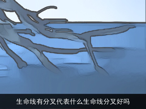 生命线有分叉代表什么生命线分叉好吗