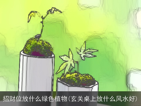 招财位放什么绿色植物(玄关桌上放什么风水好)