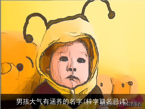 男孩大气有涵养的名字(梓字取名忌讳)