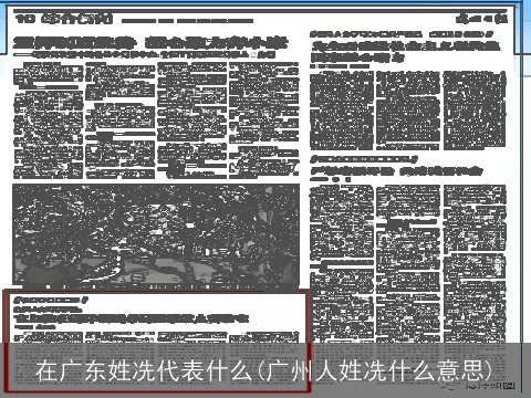 在广东姓冼代表什么(广州人姓冼什么意思)