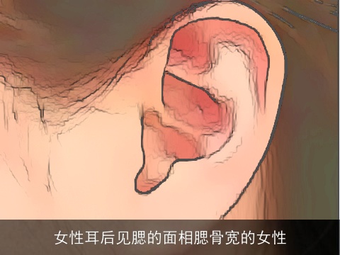 女性耳后见腮的面相腮骨宽的女性
