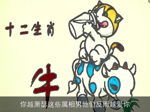 你越萧瑟这些属相男他们反而越爱你