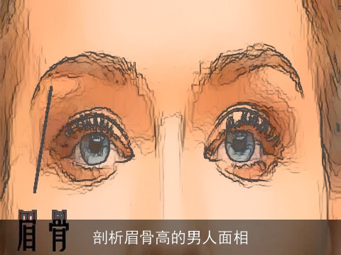 剖析眉骨高的男人面相