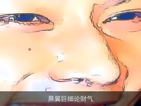 鼻翼巨细论财气