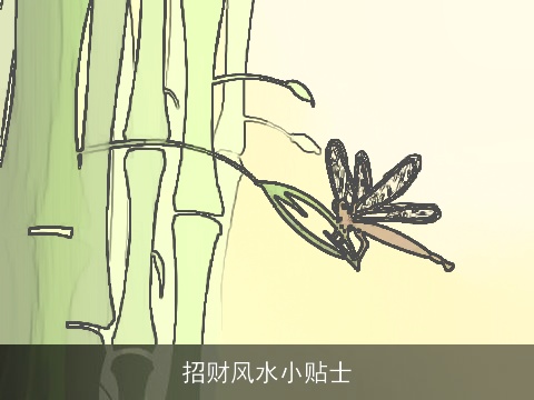 招财风水小贴士