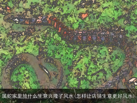 属蛇家里放什么生意兴隆了风水(怎样让店铺生意更好风水)