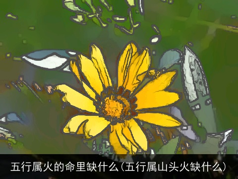 五行属火的命里缺什么(五行属山头火缺什么)