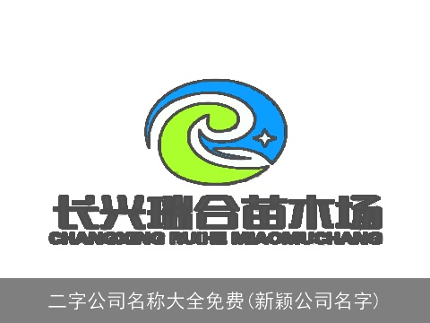 二字公司名称大全免费(新颖公司名字)