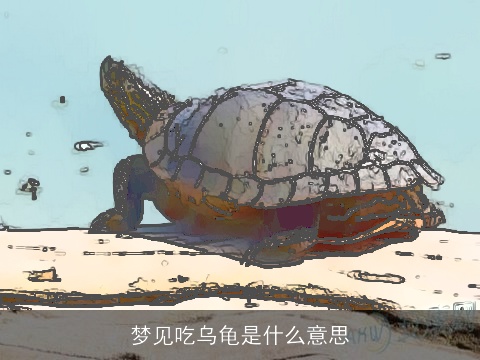 梦见吃乌龟是什么意思