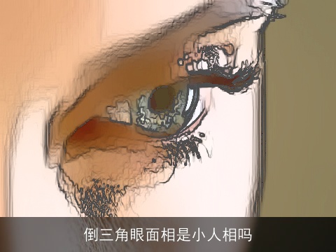 倒三角眼面相是小人相吗