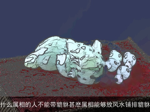 什么属相的人不能带貔貅甚麽属相能够放风水铺排貔貅