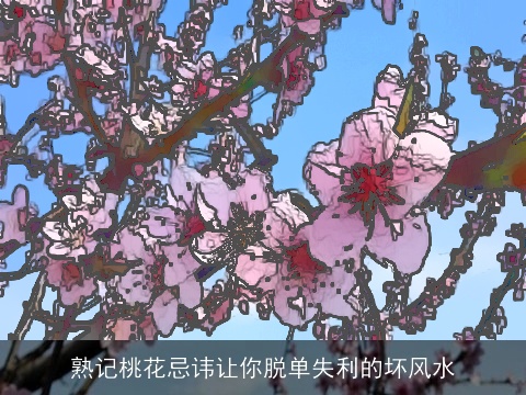 熟记桃花忌讳让你脱单失利的坏风水