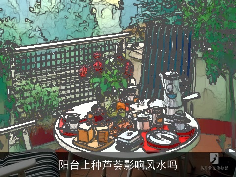 阳台上种芦荟影响风水吗