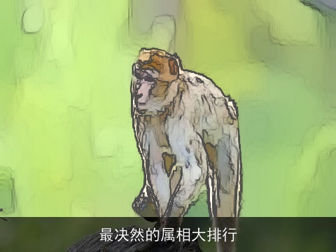 最决然的属相大排行