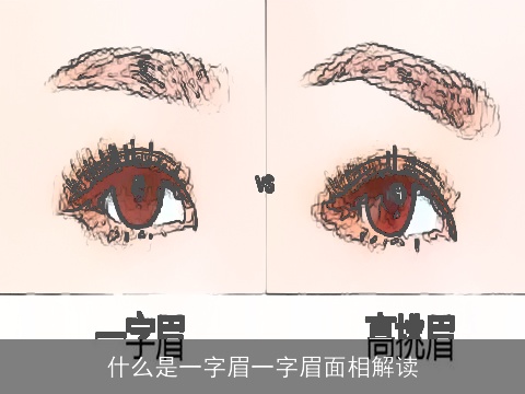 什么是一字眉一字眉面相解读